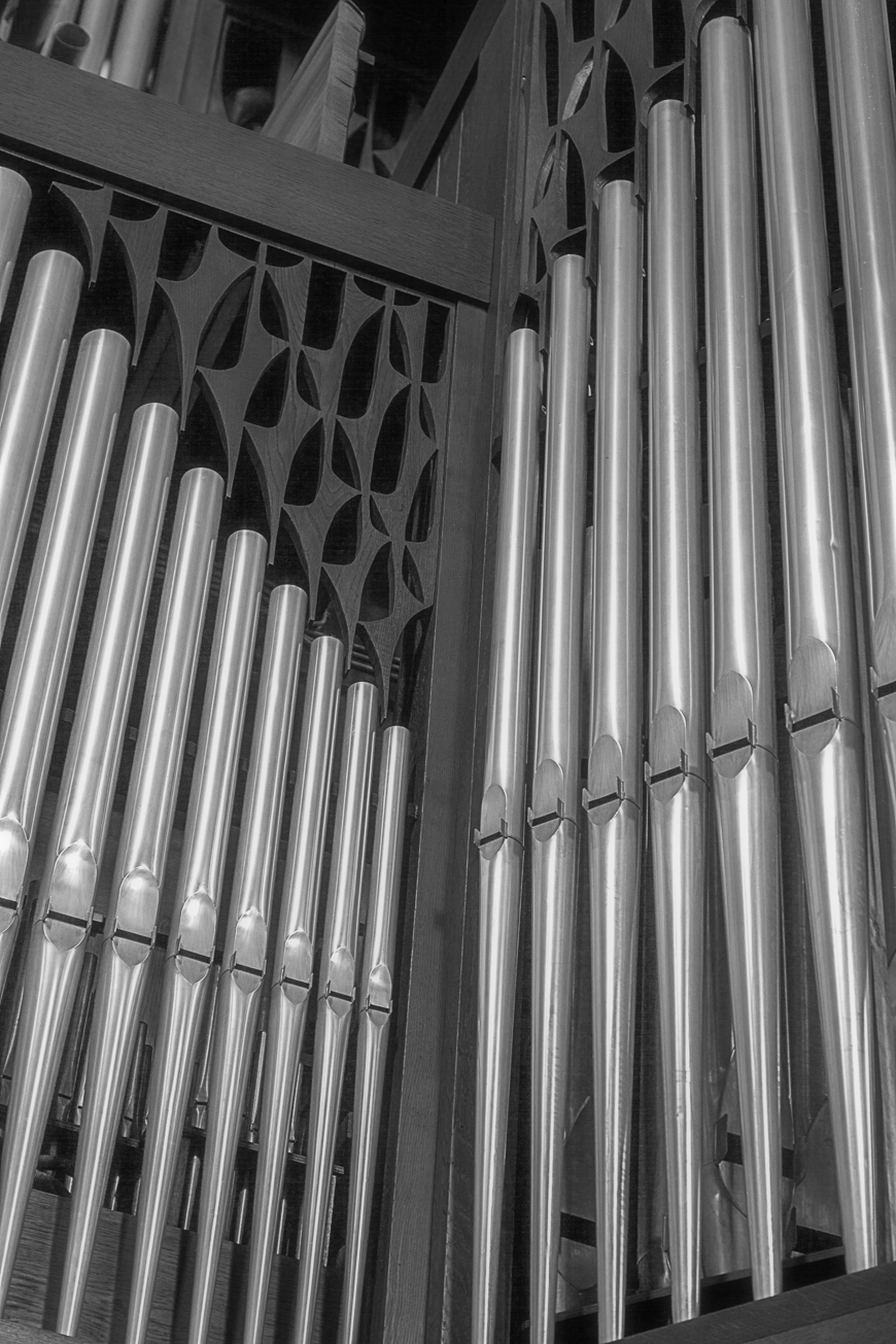 Große Rieger Orgel Marienstatt Studien (14 von 20)