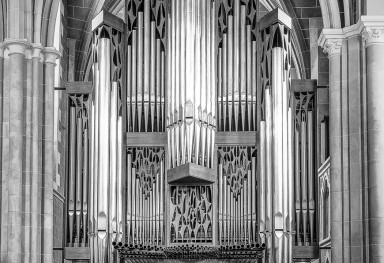 Große Rieger Orgel, Abtei Marienstatt