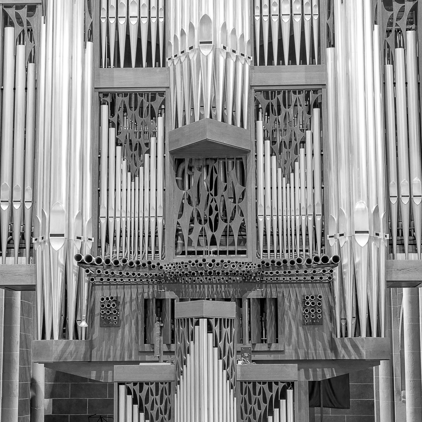 Große Rieger Orgel Marienstatt Studien (18 von 20)