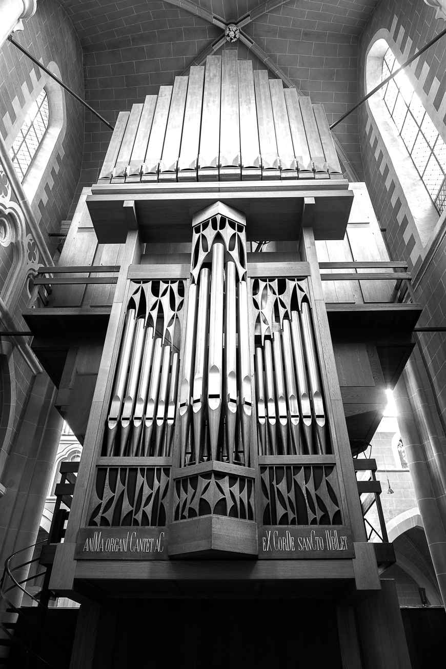 Große Rieger Orgel Marienstatt Studien (5 von 20)