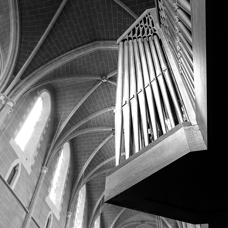 Große Rieger Orgel Marienstatt Studien (6 von 20)