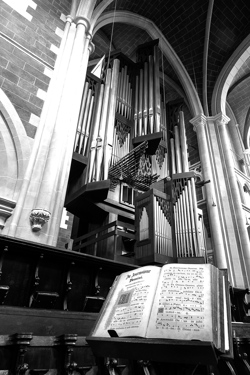 Große Rieger Orgel Marienstatt Studien (7 von 20)