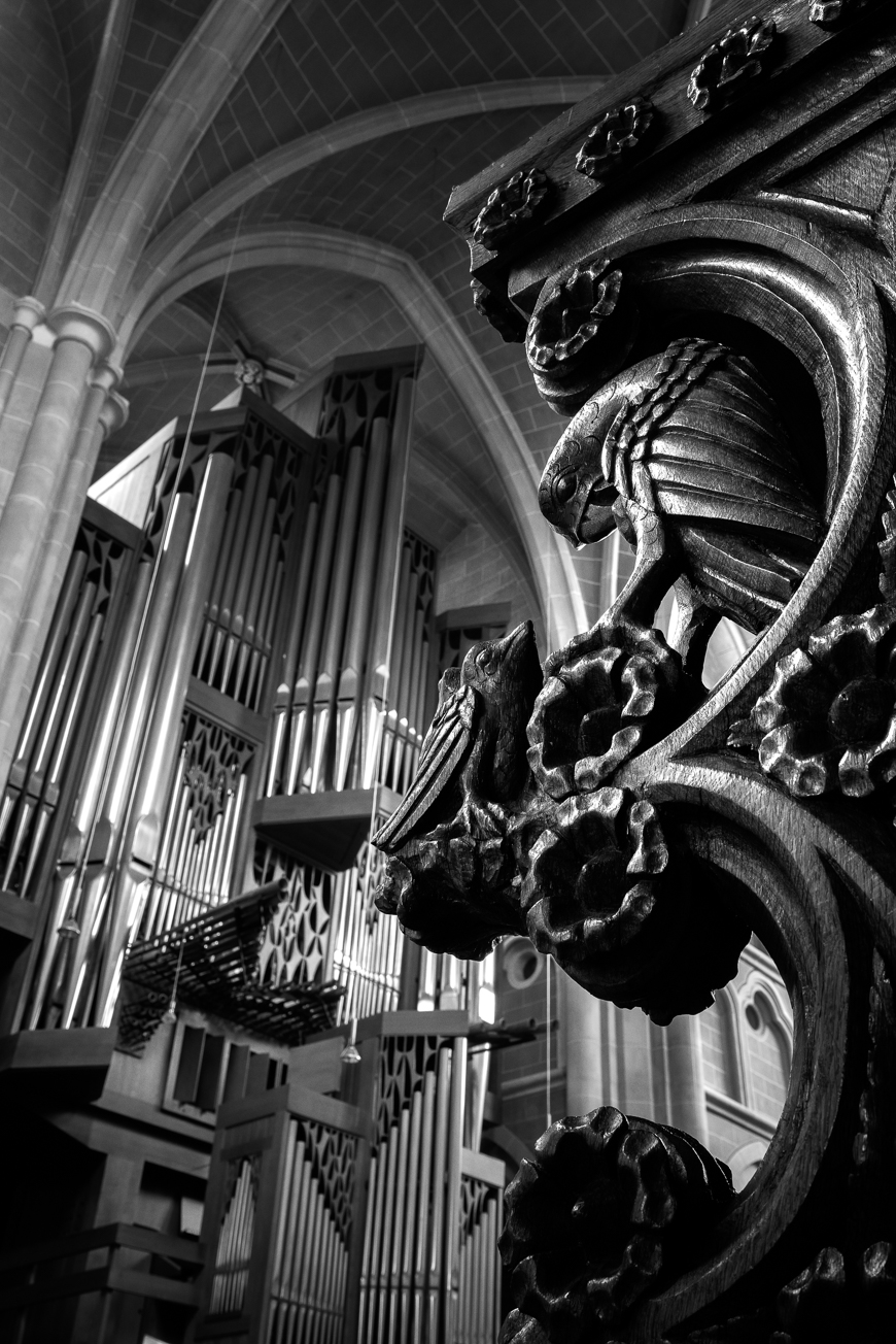 Große Rieger Orgel Marienstatt Studien (8 von 20)